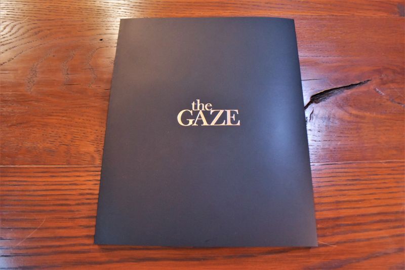 画像1: the GAZE 写真集 (1)